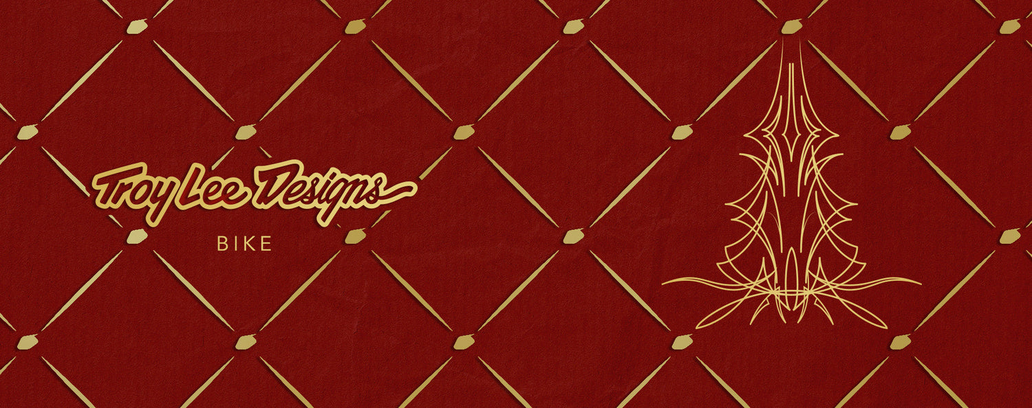 Troys Holiday Gift Guide Bike