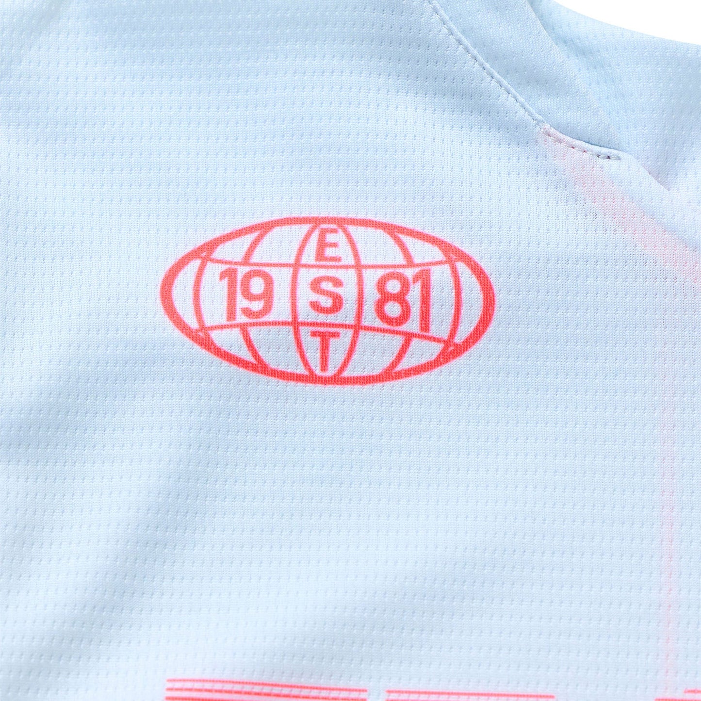 TLD GP Pro Jersey Segment Vapor / Infra Red