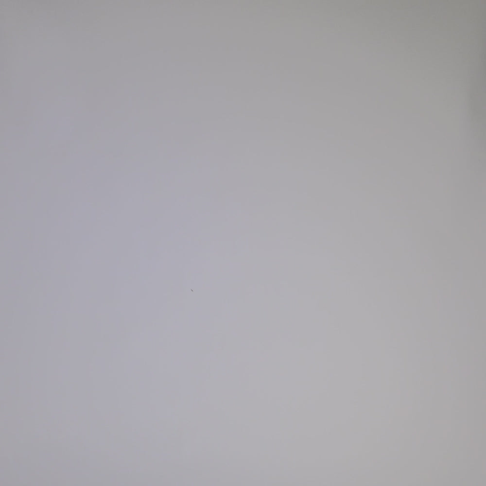 Troy Lee WOMENS MISCHIEF JERSEY PINSTRIPE Honey